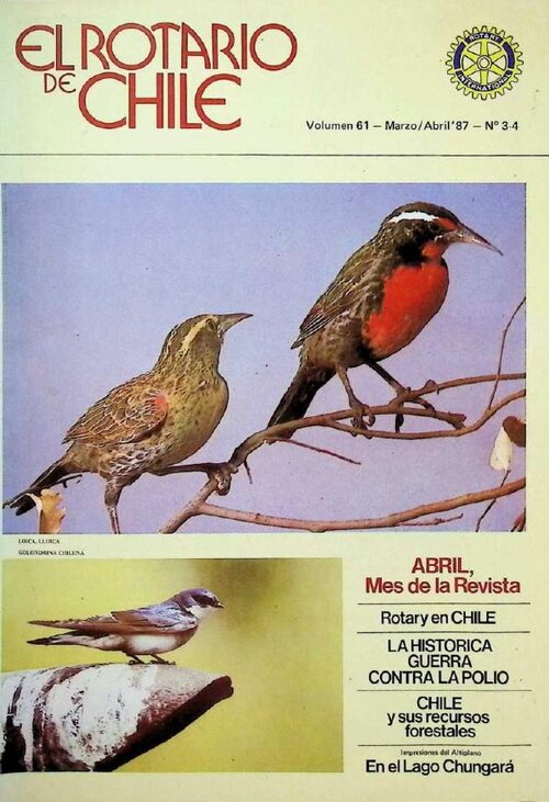 Portada de Marzo – Abril 1987